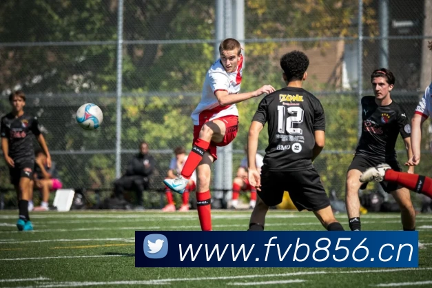 多媒体互动体验